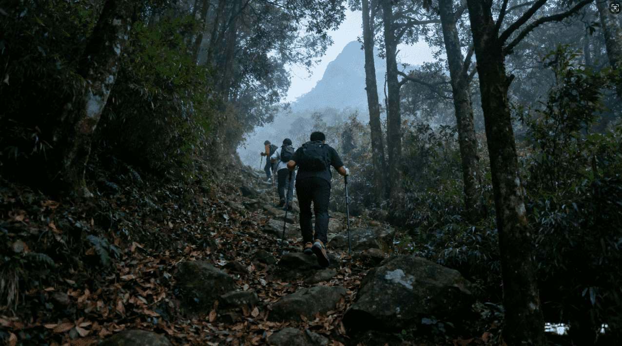 暴喵加速器如何快速清理内存以提升性能